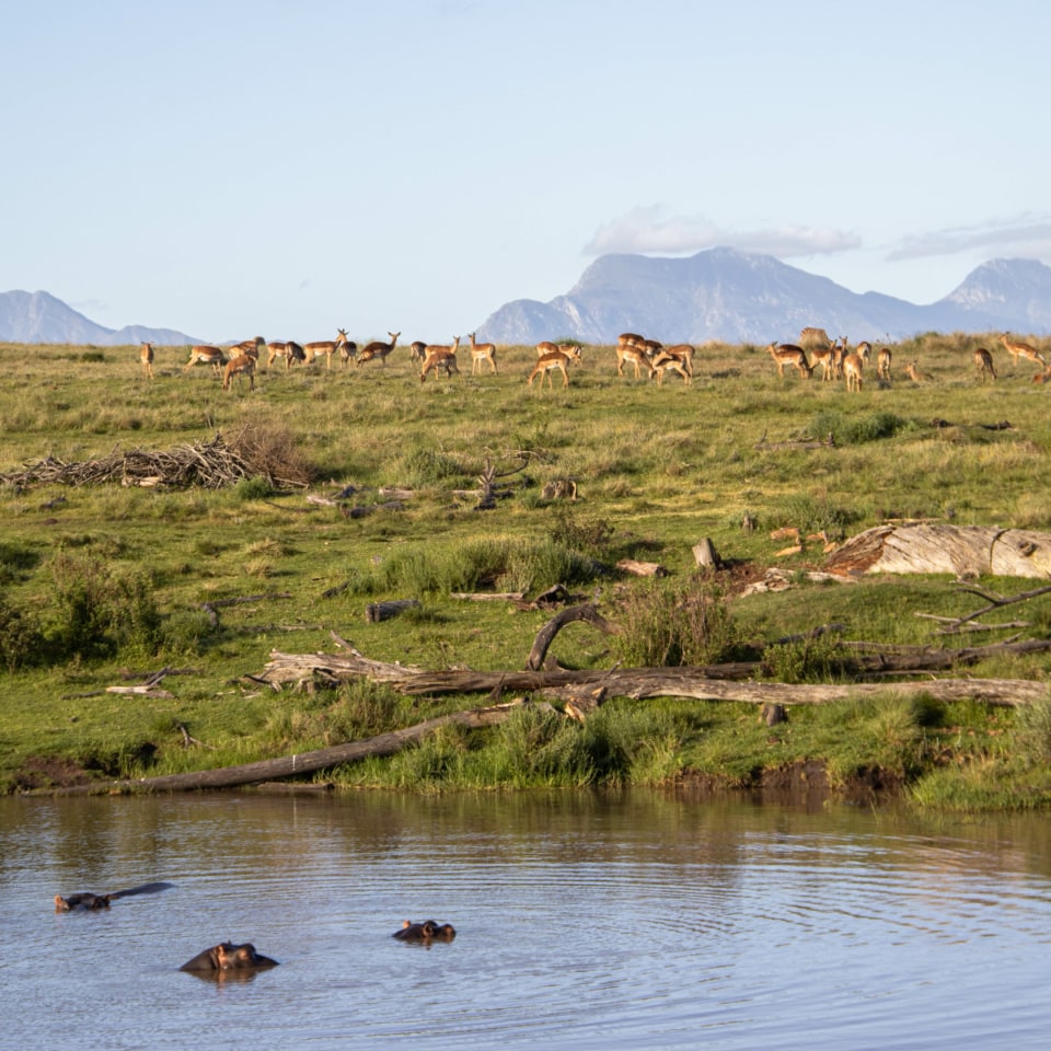 Roadtrip entlang der Garden Route